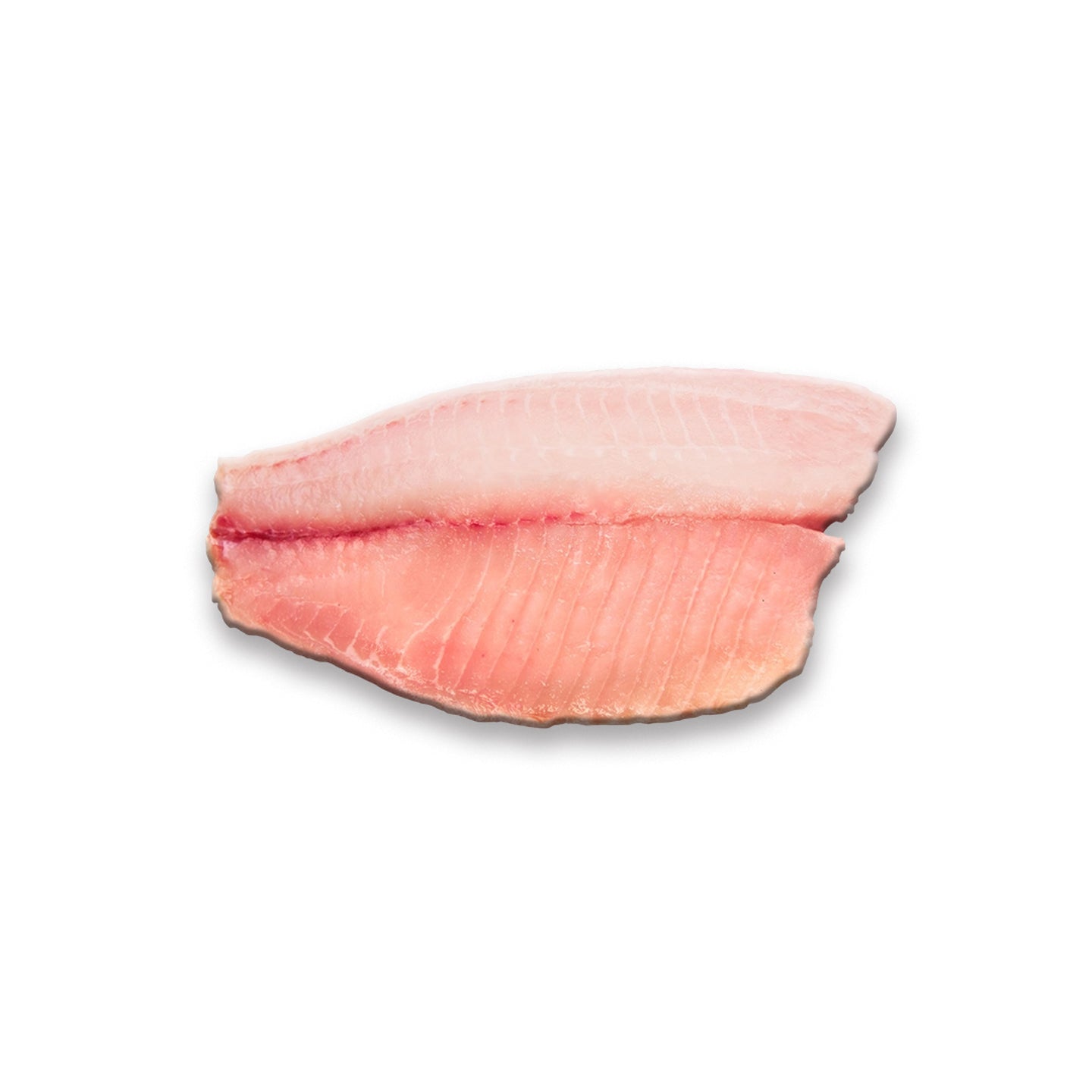 Filete de tilapia fresco Magnibeef, 500 gramos, perfecto para cocinar al horno o a la parrilla.