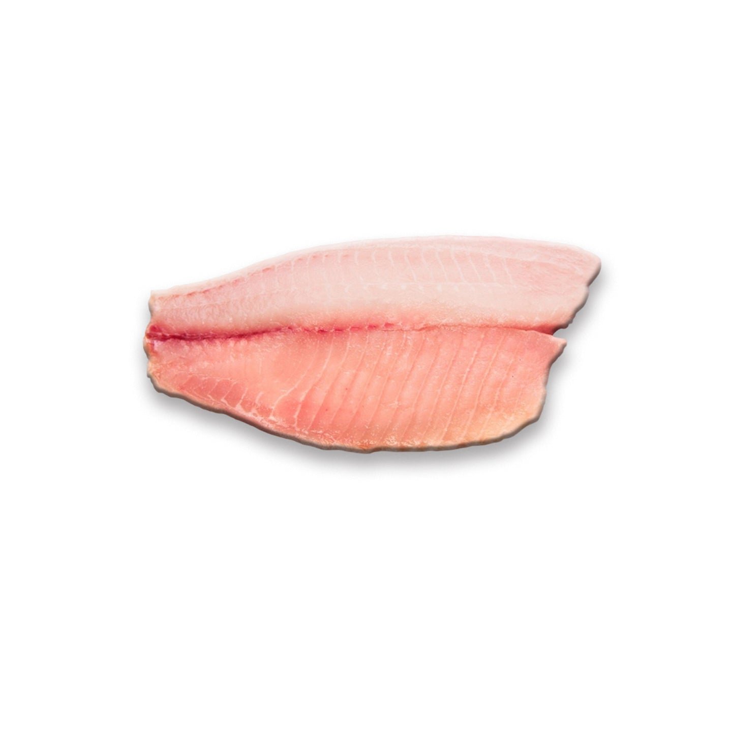 Filete de tilapia fresco Magnibeef, 500 gramos, perfecto para cocinar al horno o a la parrilla.